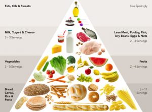 nutrition_pyramid